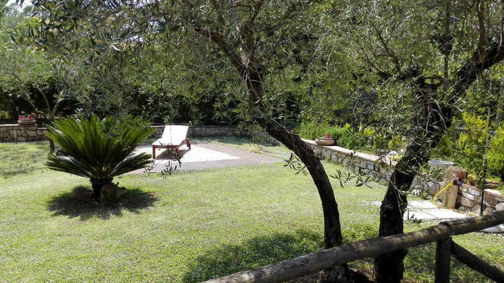 La Zucca A Pois Daire Zinnowitz Oda fotoğraf